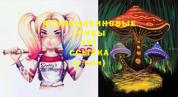 дурь Нягань