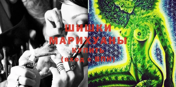 дурь Нягань