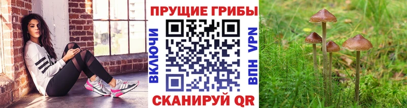 Псилоцибиновые грибы мухоморы  Тарко-Сале 